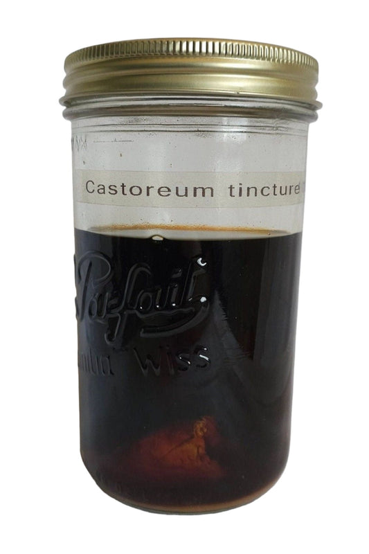 Castoreum Tinktur 10%, Kanadischer Biber-Rizinus